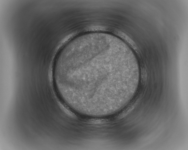 X0000112490629200909141205
