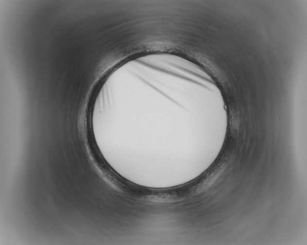 X0000112490630200909141205