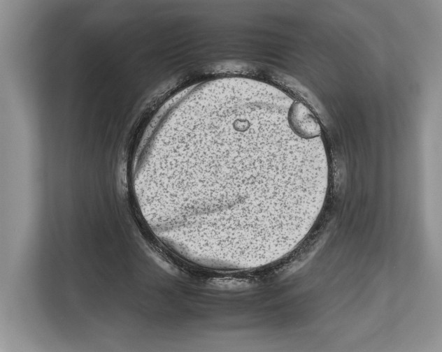 X0000112490633200909141205