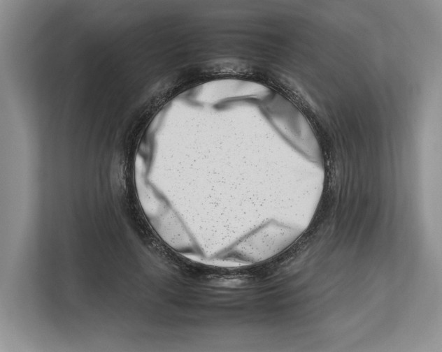 X0000112490643200909141205