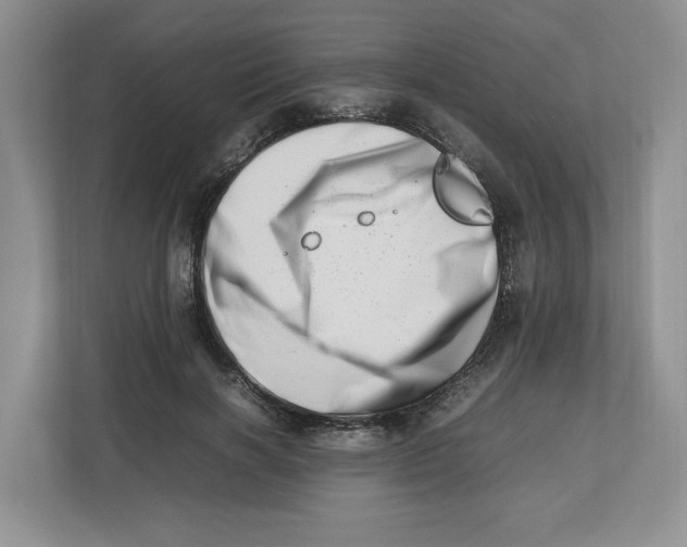 X0000112490646200909141205
