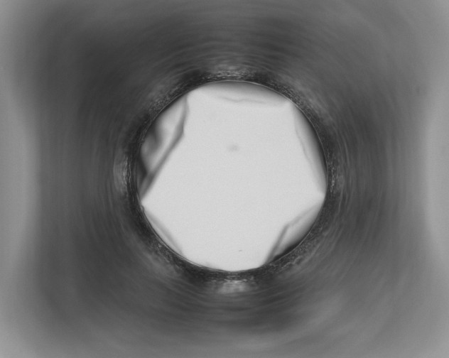 X0000112490647200909141205