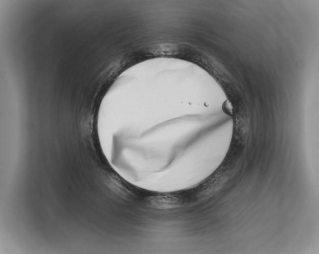 X0000112490652200909141205