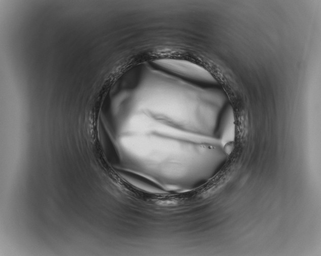 X0000112490653200909141205