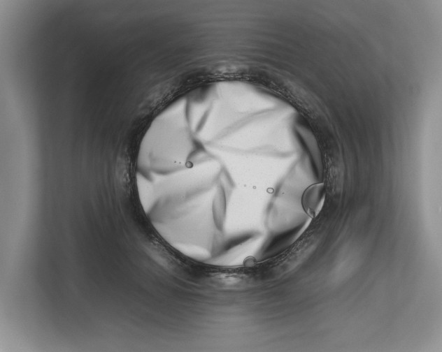 X0000112490654200909141205