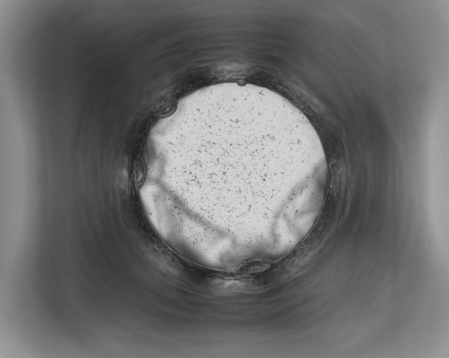 X0000112490655200909141205