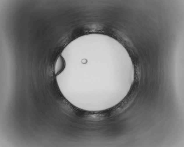 X0000112490657200909141205