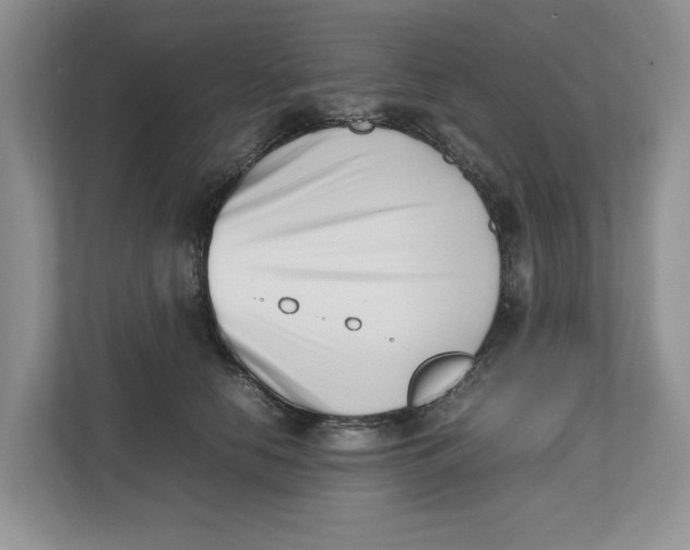X0000112490658200909141205