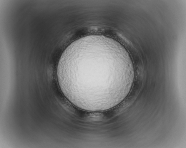 X0000112490659200909141205