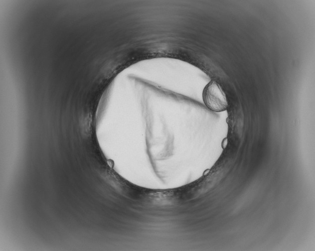 X0000112490660200909141205