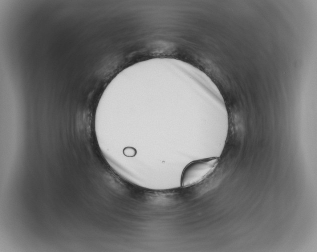 X0000112490664200909141205