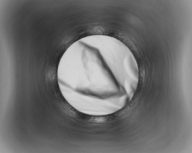 X0000112490665200909141205