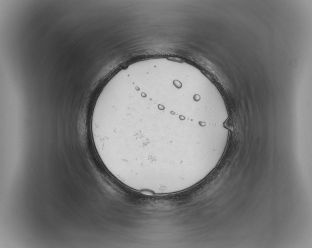 X0000112490677200909141204
