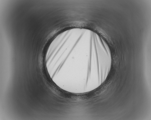 X0000112490679200909141204