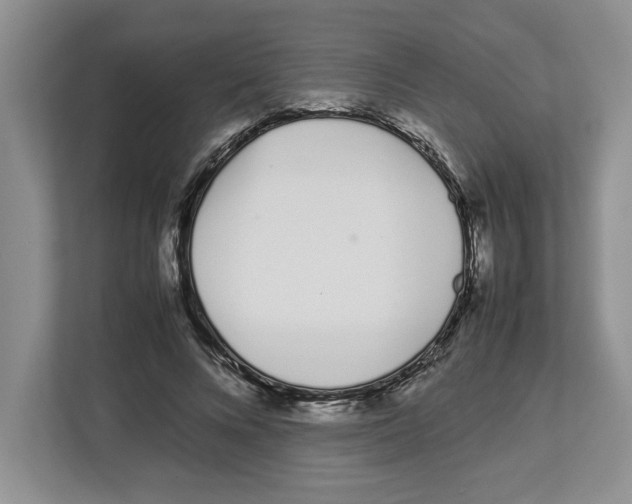 X0000112490688200909141204