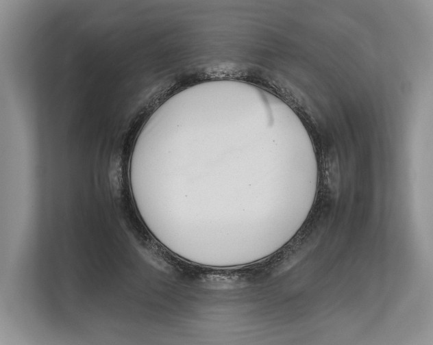 X0000112490690200909141204