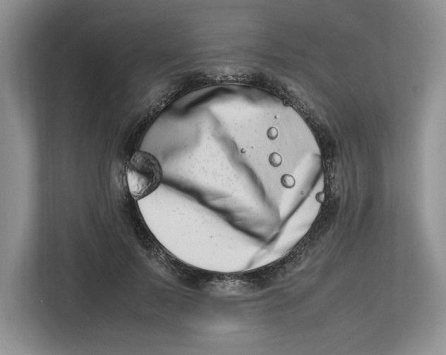 X0000112490695200909141204
