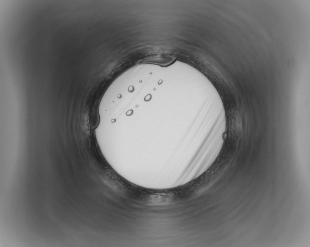 X0000112490700200909141204