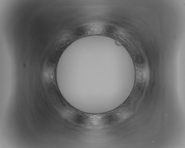 X0000112490701200909141204