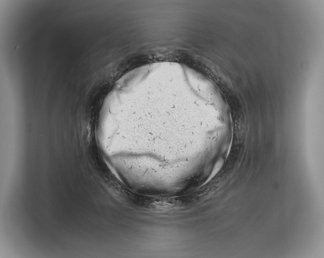 X0000112490703200909141204
