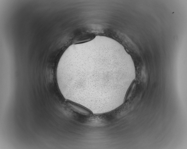 X0000112490704200909141204