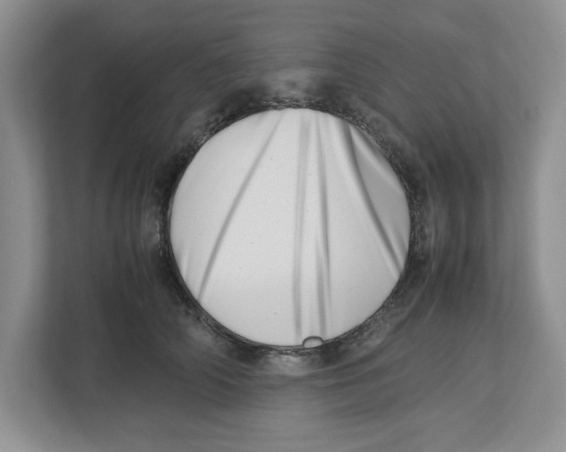 X0000112490706200909141204