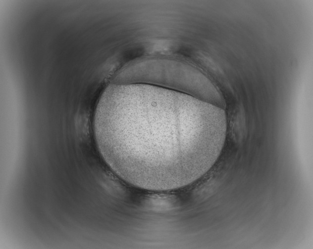 X0000112490708200909141204