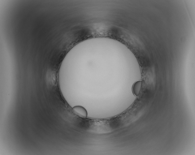 X0000112490709200909141204