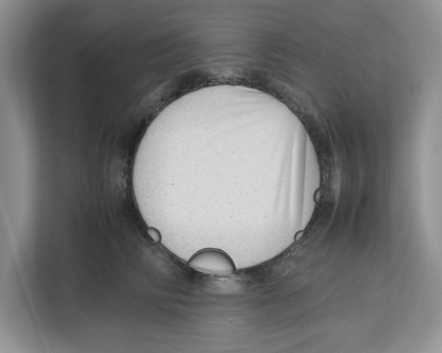 X0000112490710200909141204