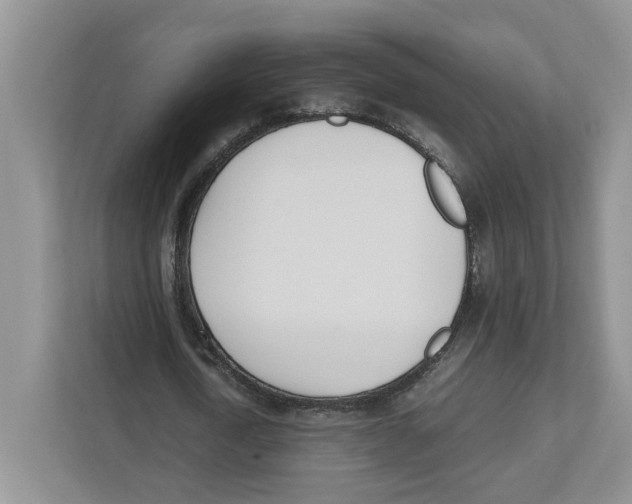 X0000112490722200909141203