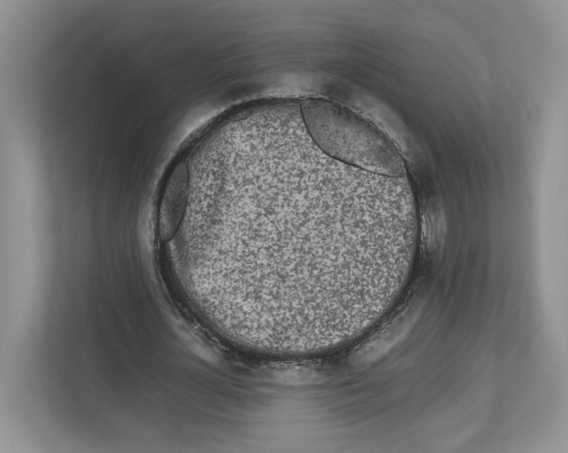 X0000112490724200909141203