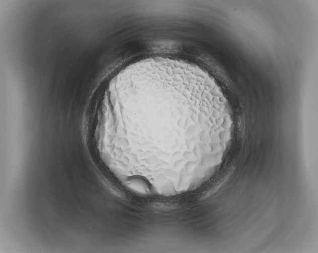 X0000112490725200909141203