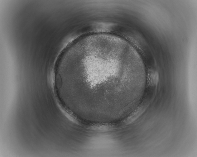 X0000112490726200909141203