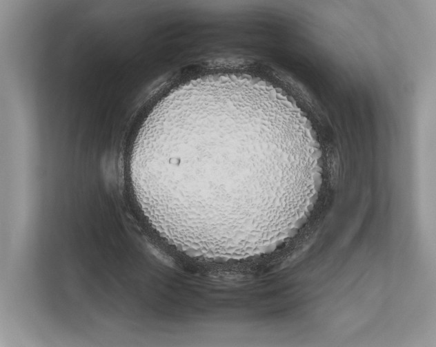 X0000112490729200909141203