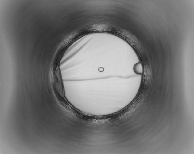 X0000112490734200909141203