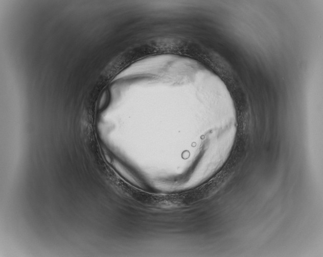 X0000112490737200909141203