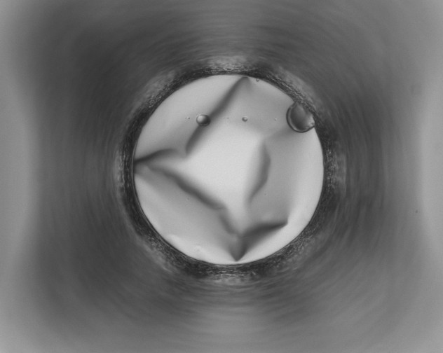 X0000112490738200909141203