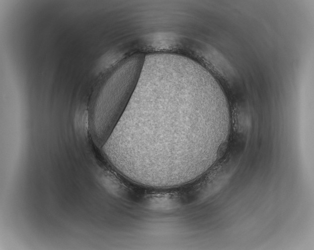 X0000112490740200909141203