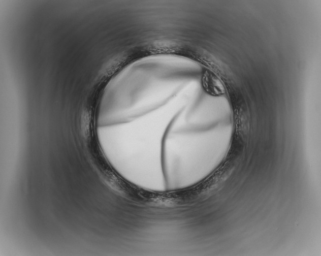 X0000112490742200909141203