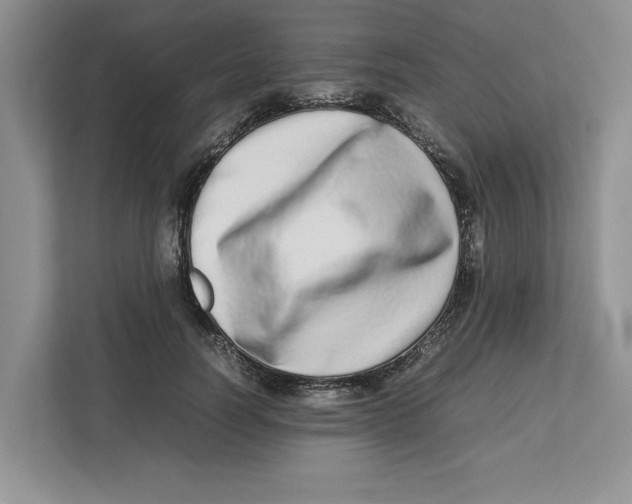 X0000112490746200909141204
