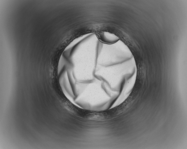 X0000112490750200909141204