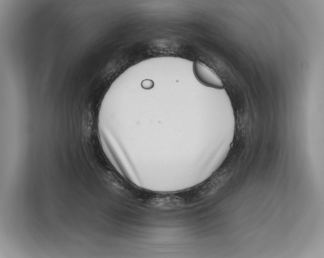 X0000112490752200909141204