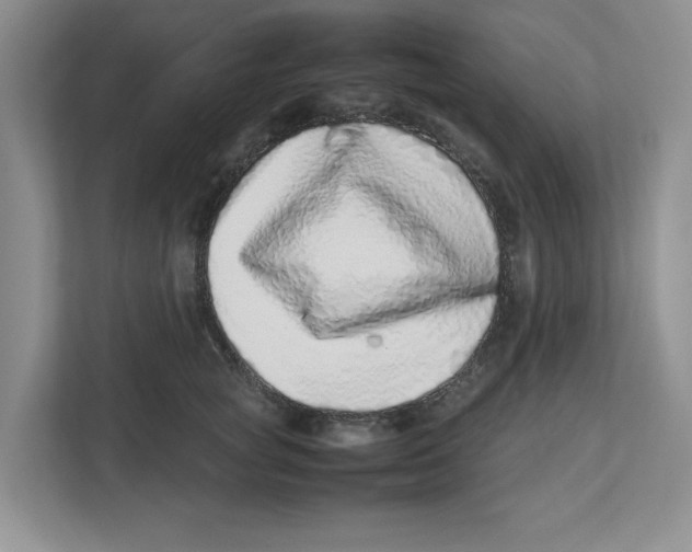 X0000112490757200909141204