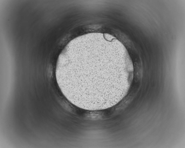 X0000112490758200909141204