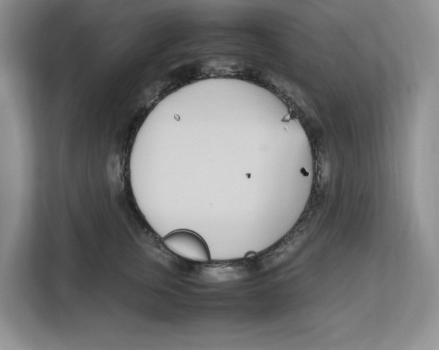 X0000112490759200909141204