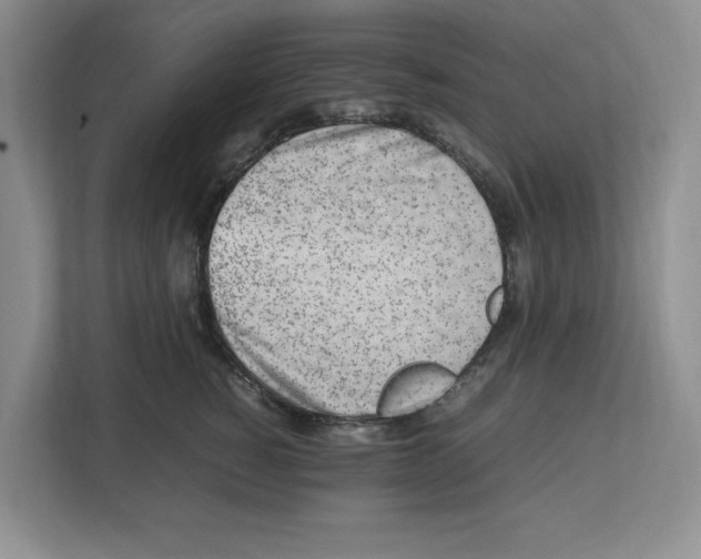 X0000112490760200909141204