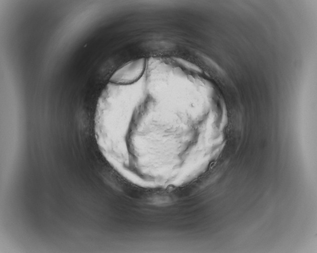 X0000112490761200909141204
