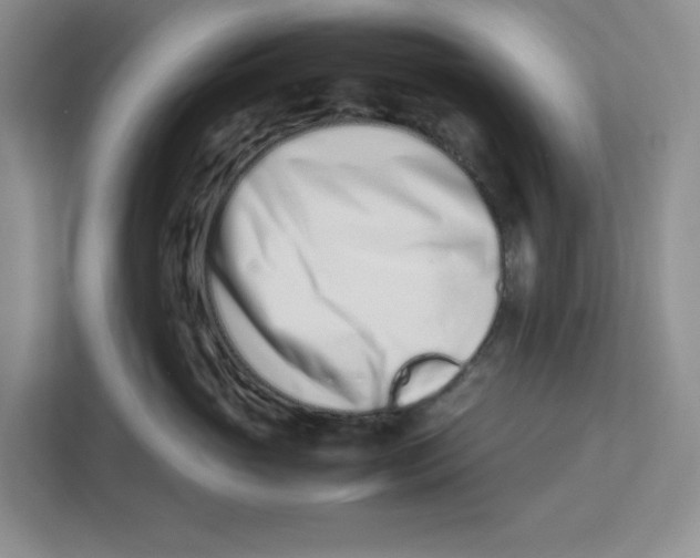 X0000112490765200909141204
