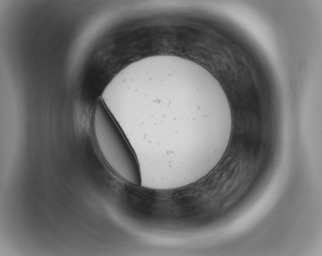 X0000112490766200909141204