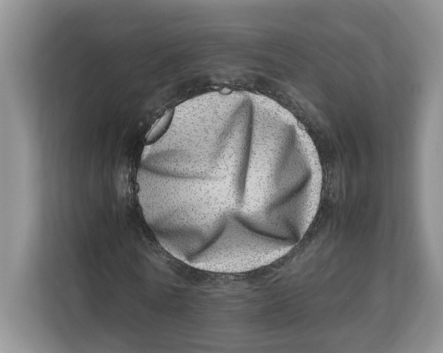 X0000112490770200909141203
